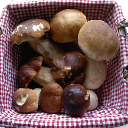 호텔 Schmiede Schoenberg
