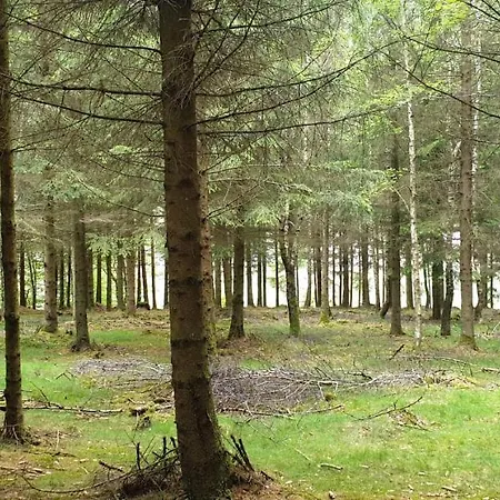 ホテル Schmiede 3*